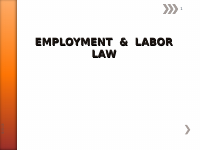 Employment &labour law best ppt @higigat.ppt
